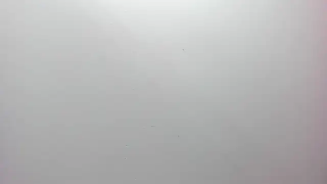 Živý XXX chat evangelin190