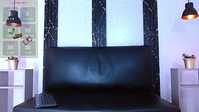 Feiccer_Castquerのウェブカメラショー