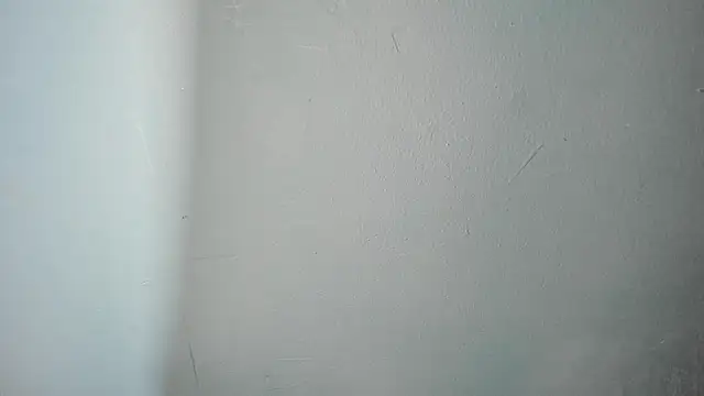 Charlie___Musk 即時 XXX 聊天