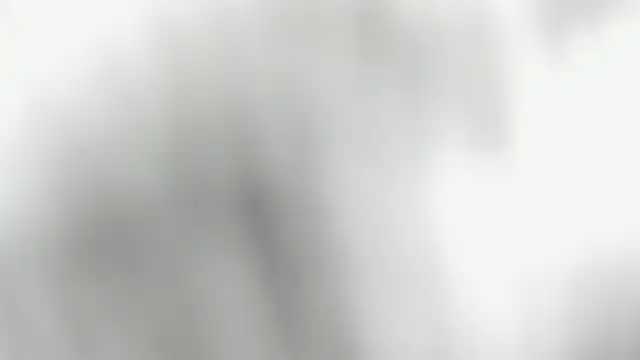 VictoriaPaker 即時 XXX 聊天