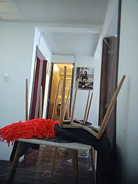 Fernandar2025 现场XXX聊天
