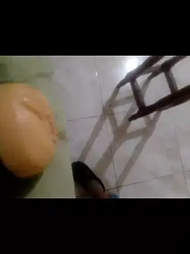 Show Webcam de Kartucho06