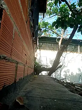 Tequilamaster Pertunjukan Webcam