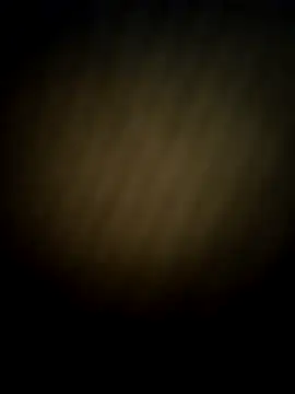 Онлайн чат XXX translady19
