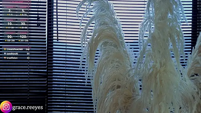 Silvermistt 라이브 XXX 채팅
