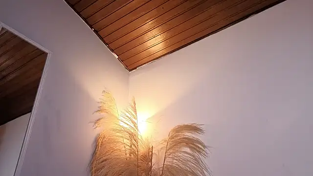 Elecktra_sweet élő XXX-chatje