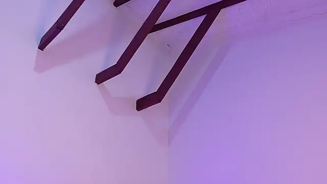 CathMeow_ 现场XXX聊天