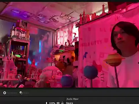 JesuAdamn Webbikameraesitys