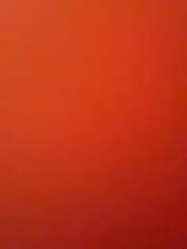 Chat XXX ao vivo de JusticeXXX68