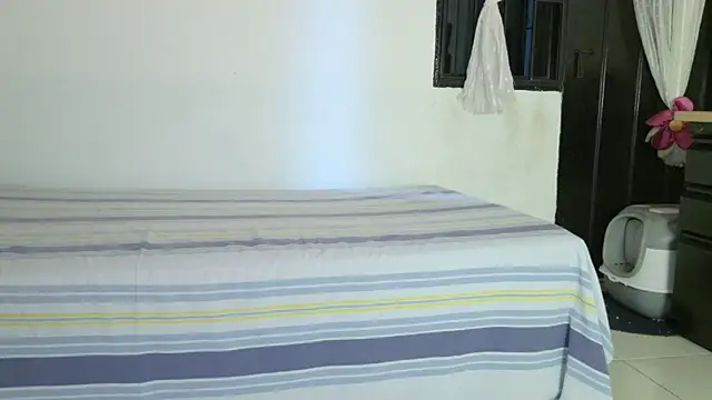 eva_sin18 élő XXX-chatje