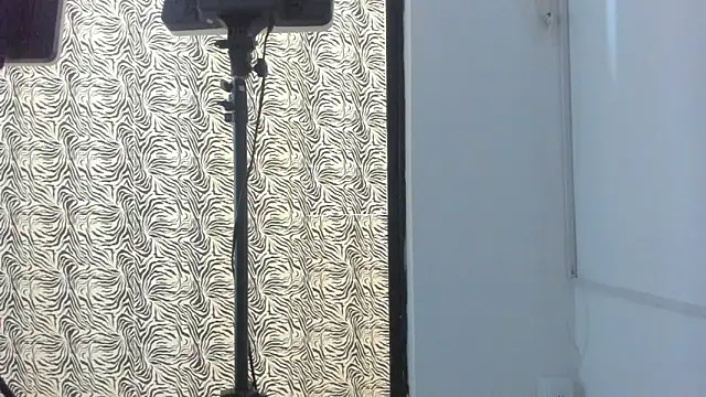 Bruno_fox's Live XXX Chat
