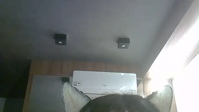 Show de SkinnyKitten na webcam