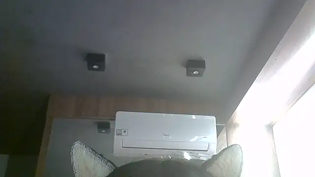 Show de webcam de SkinnyKitten