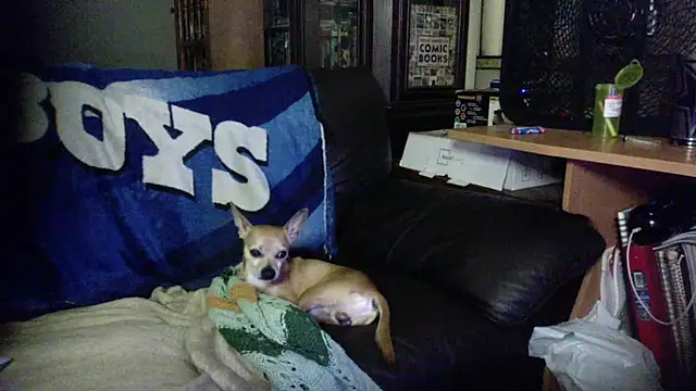 KinkyTOMan's Live XXX Chat