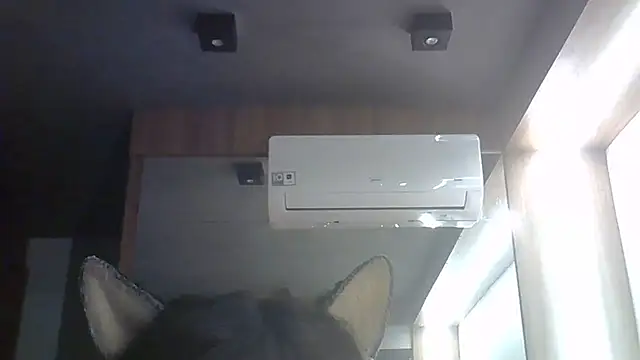 Show de SkinnyKitten na webcam