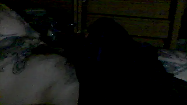 MrFumao Live XXX-chat