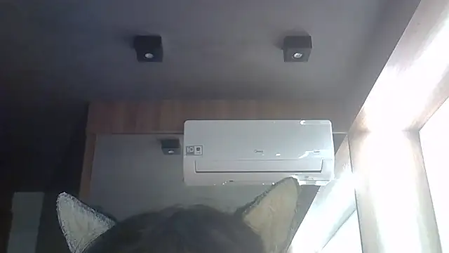 Show de webcam de SkinnyKitten