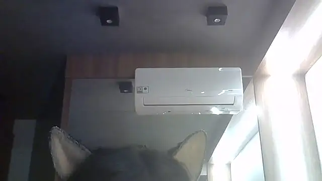 Chat XXX Live SkinnyKitten