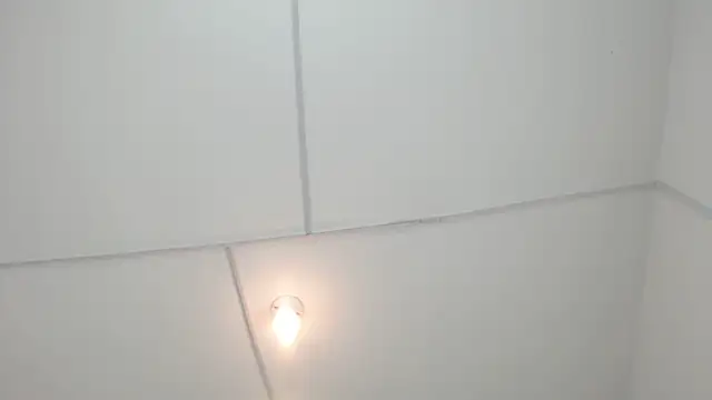 PhillipCox Chat XXX live