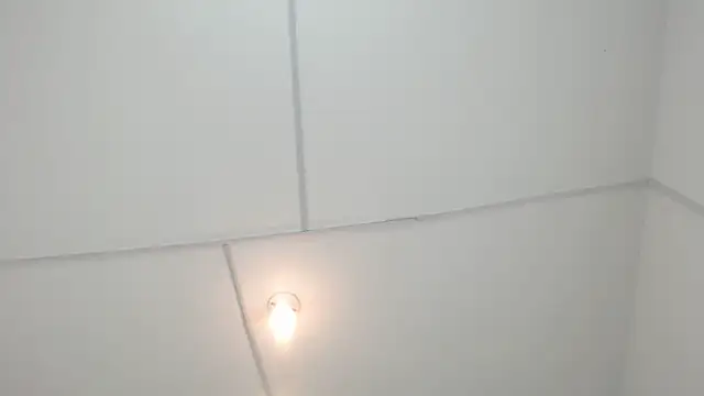 PhillipCox – Naživo XXX chat