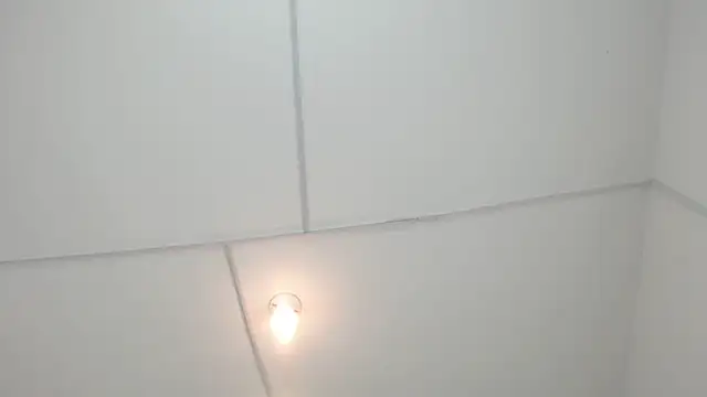 PhillipCox Live XXX-chat