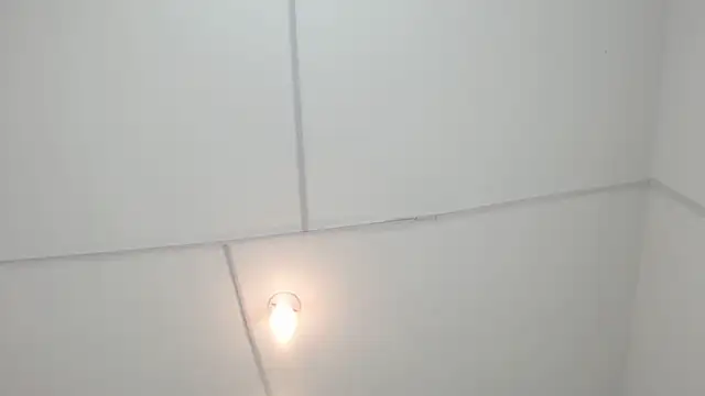PhillipCox Chat XXX live