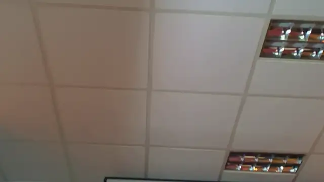 Ivorym00n Obrolan Langsung XXX