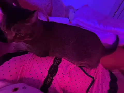 دردشة Onlypawzz الجنسية المباشرة
