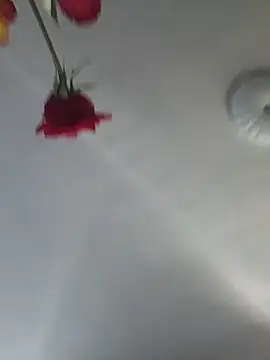 Chat XXX ao vivo de MaiaGold