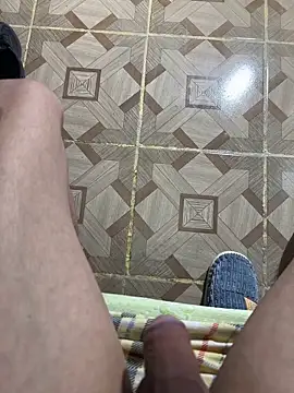 polla20 Webcam Show