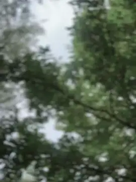 Crazy-Rosa 即時 XXX 聊天