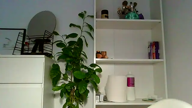 Chat +18 de Ms-Lust1- ao vivo