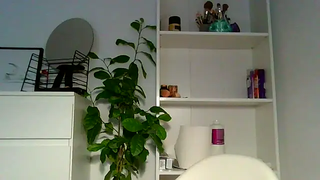 Chat XXX en directo de Ms-Lust1-