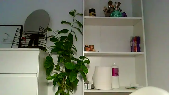 Ms-Lust1- live XXX chat