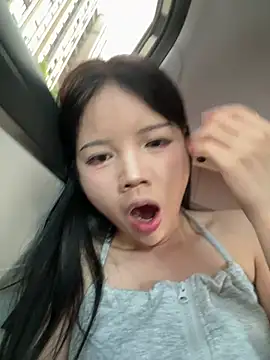 Pippin-19 Show Webcam