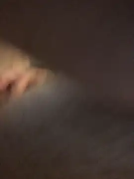 Spielzeugtwink Live XXX-Chat