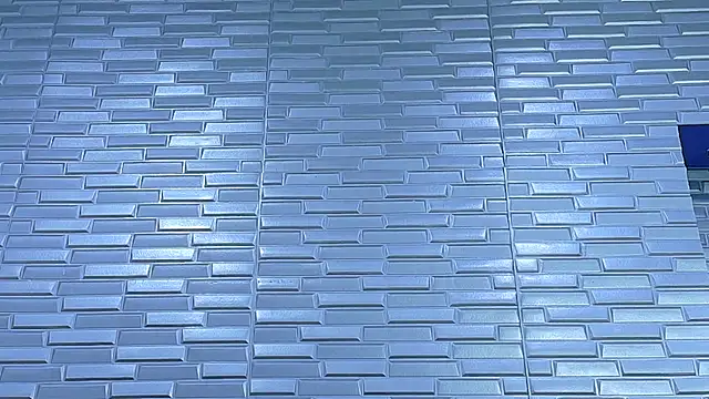 Chat +18 de SeraphynLuxora ao vivo