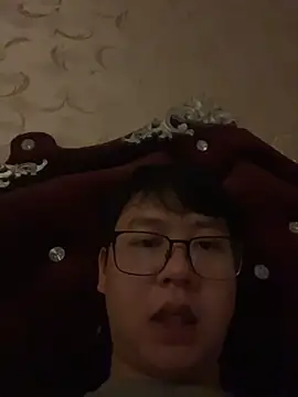 xiaoyi- Show Webcam