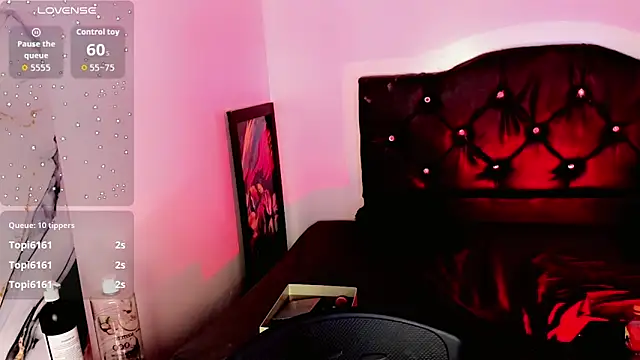 rosedewitt Show Webcam