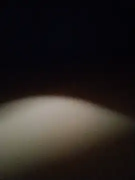 Chat +18 de YoungStar1110 ao vivo