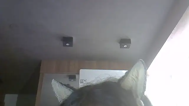 Show de SkinnyKitten na webcam
