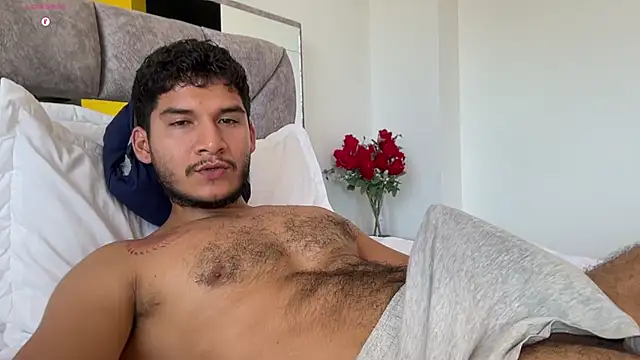 _reinern Live XXX chat