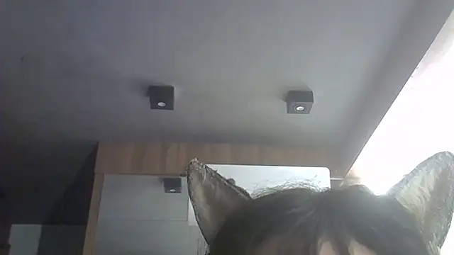 Chat XXX ao vivo de SkinnyKitten