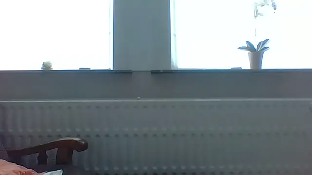 bertolini Live XXX Chat