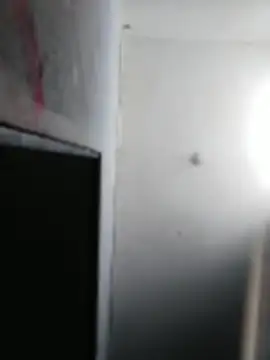 3YACULACION's Live XXX Chat