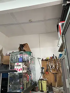 Czat XXX na żywo – Paul22cm-