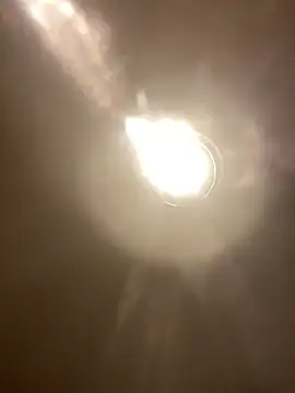 demongentil webcam show