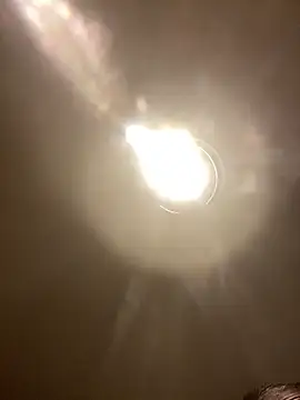 demongentil Webcamshow