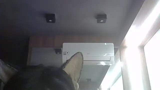 SkinnyKitten – Naživo XXX chat
