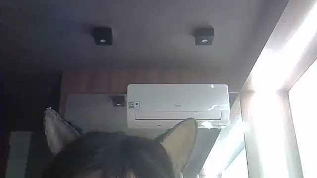 عرض كام SkinnyKitten